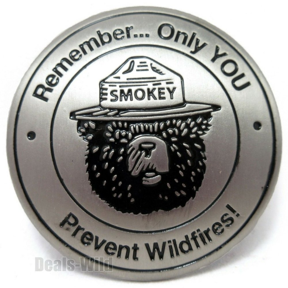 Smokey Bear Remember Only You Prevent Wildfires Collectable Fridge Magnet 1.75"